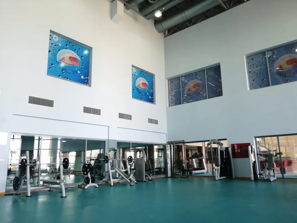 Fitness